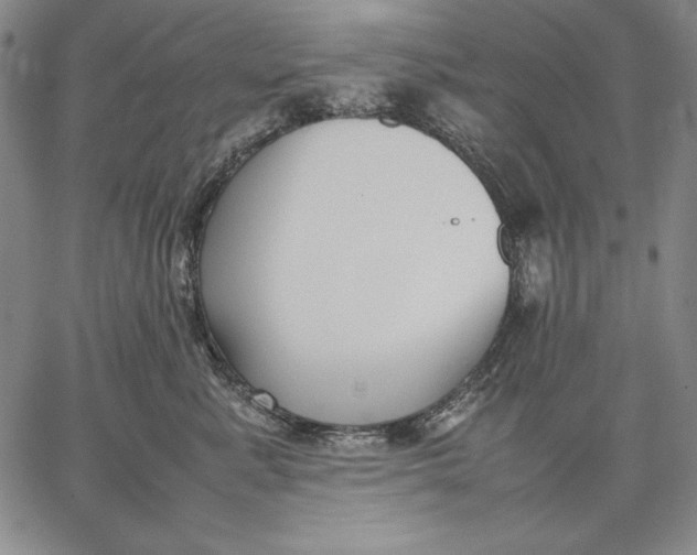 X0000067340619200604131727