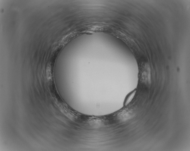 X0000067340620200604131727