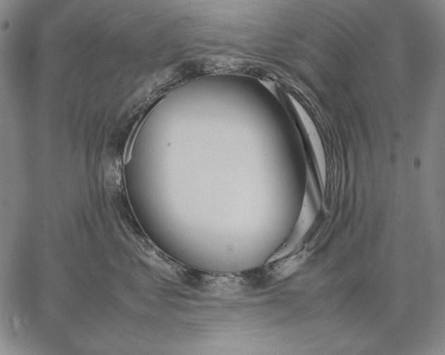 X0000067340621200604131727