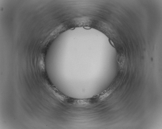 X0000067340622200604131727