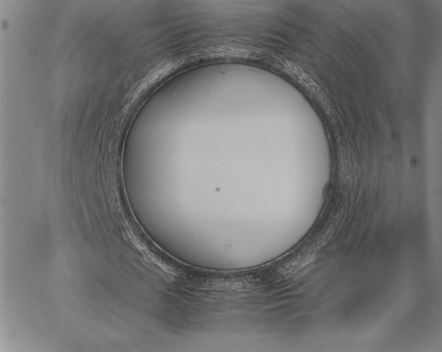 X0000067340625200604131726