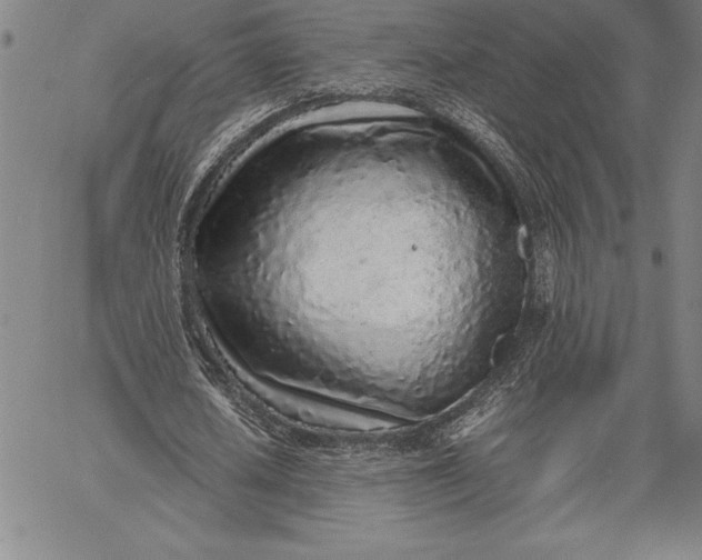 X0000067340626200604131726