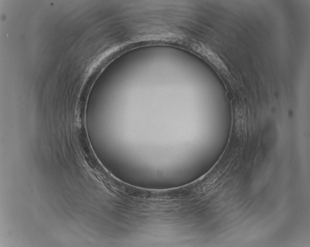 X0000067340628200604131726