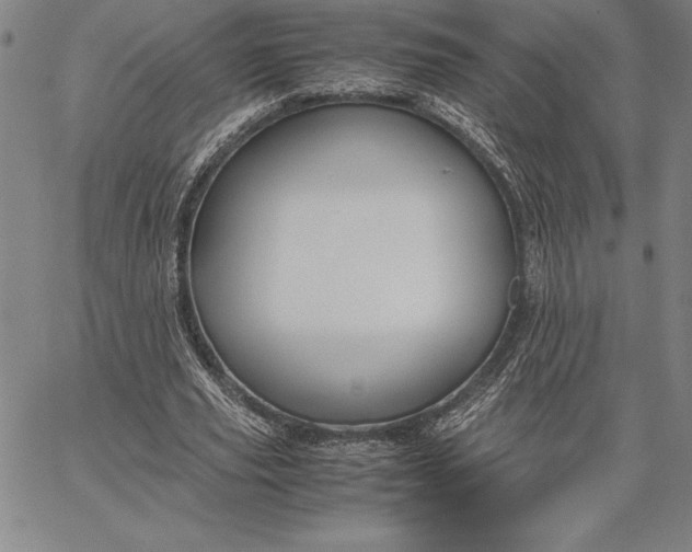 X0000067340629200604131726