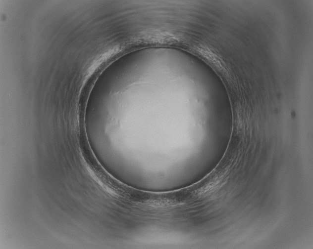 X0000067340630200604131726