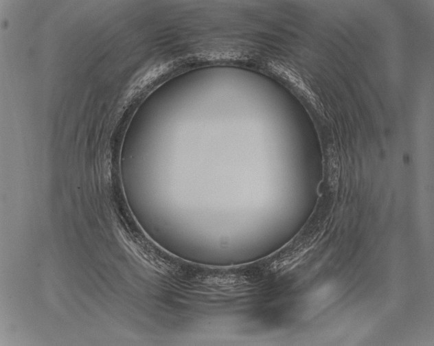 X0000067340631200604131726