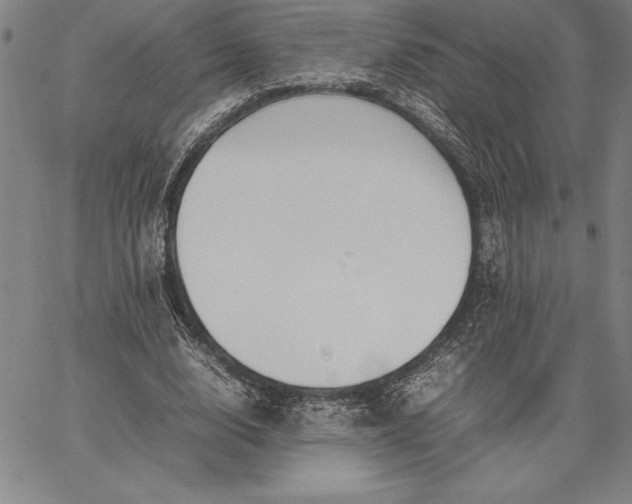 X0000067340632200604131726