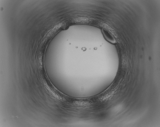 X0000067340633200604131726