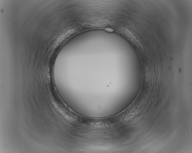 X0000067340634200604131726