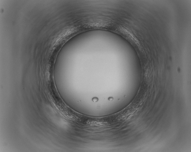 X0000067340635200604131726