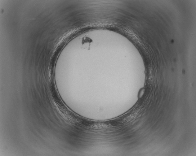 X0000067340636200604131726