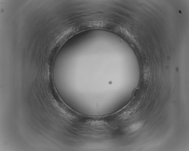 X0000067340637200604131727