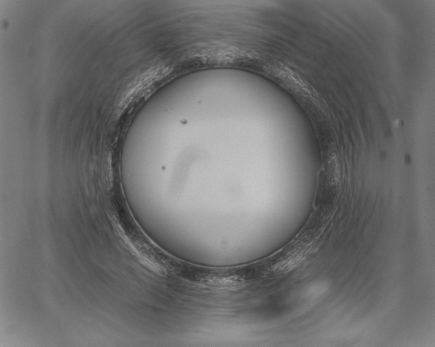 X0000067340638200604131727