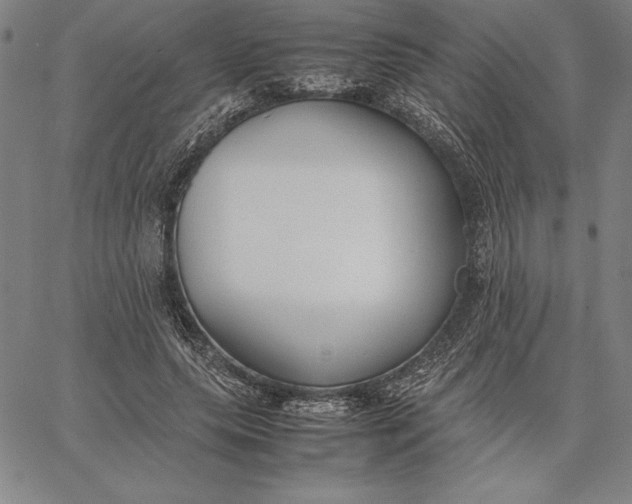 X0000067340639200604131727