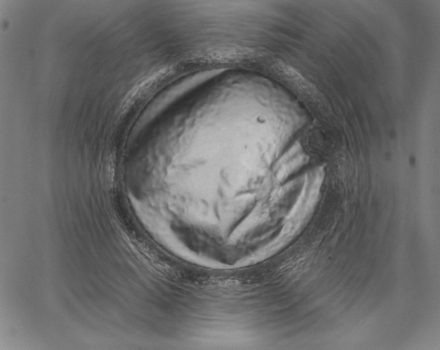 X0000067340640200604131727