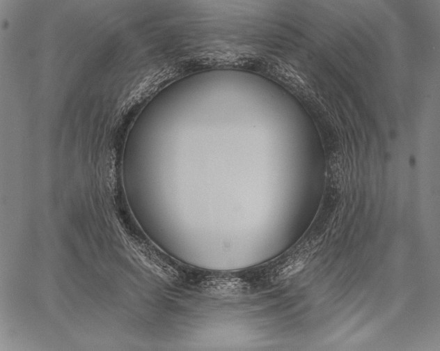 X0000067340642200604131727