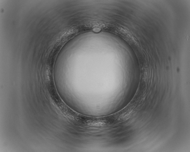 X0000067340643200604131727