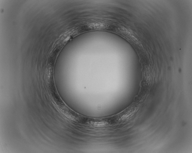 X0000067340645200604131727