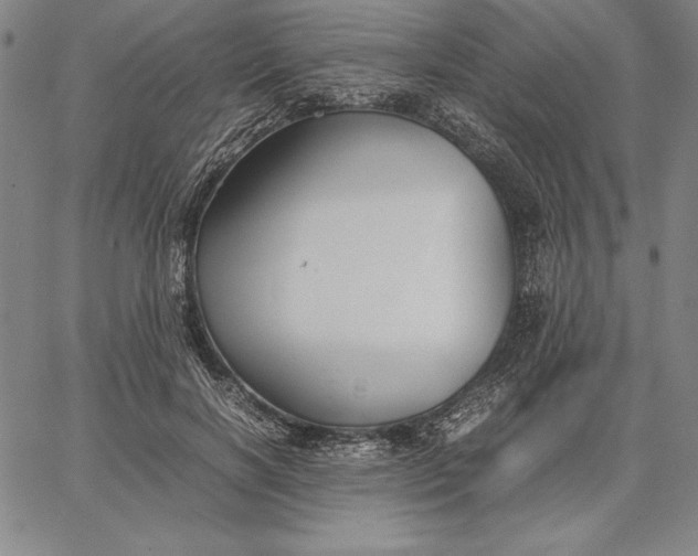 X0000067340646200604131727