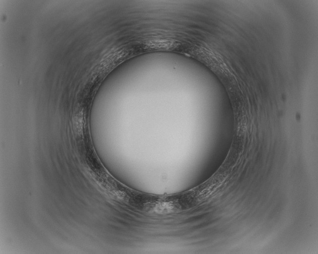 X0000067340647200604131727