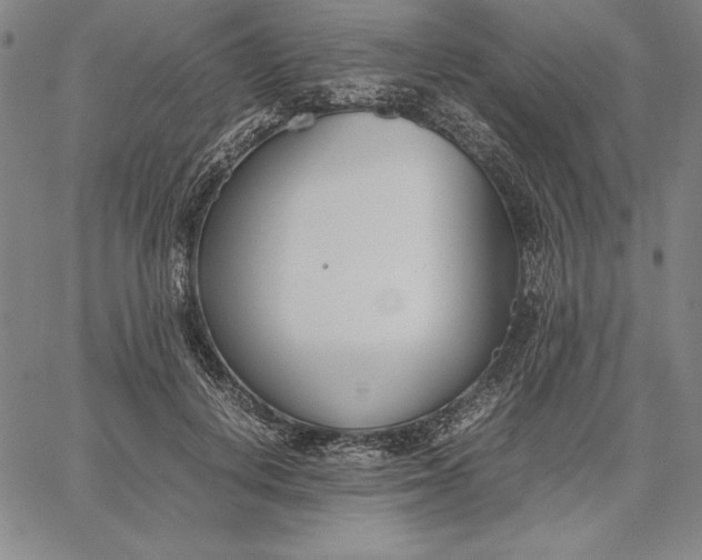 X0000067340648200604131727