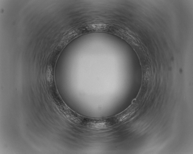 X0000067340651200604131727