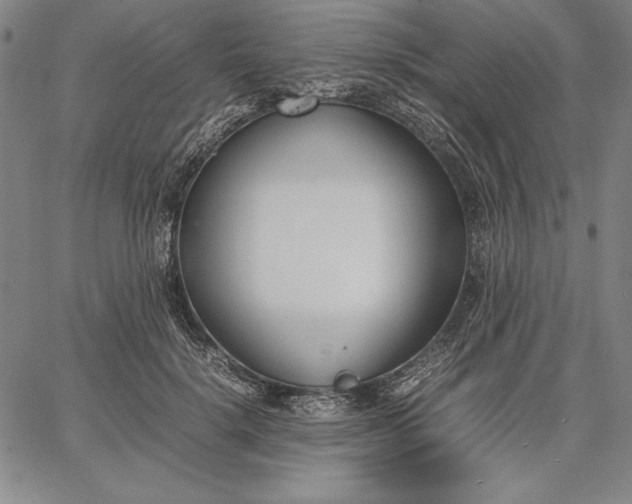 X0000067340652200604131727