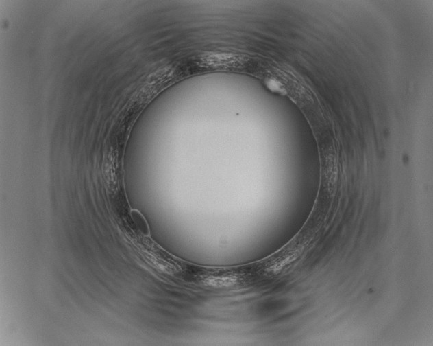 X0000067340653200604131727