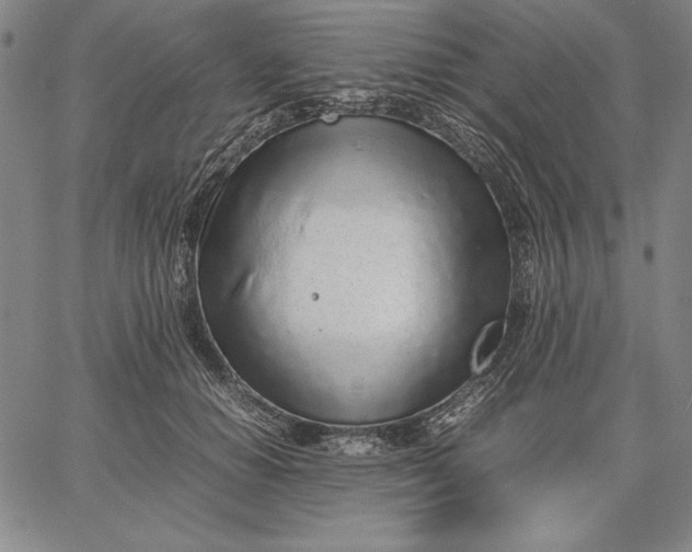 X0000067340654200604131727