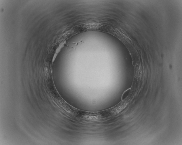 X0000067340655200604131727