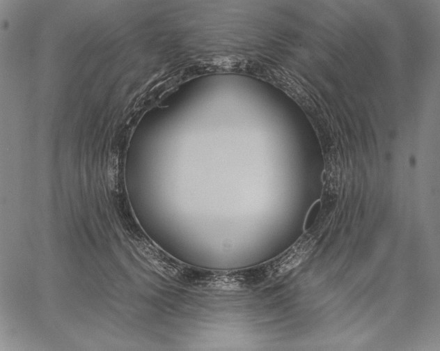 X0000067340656200604131727