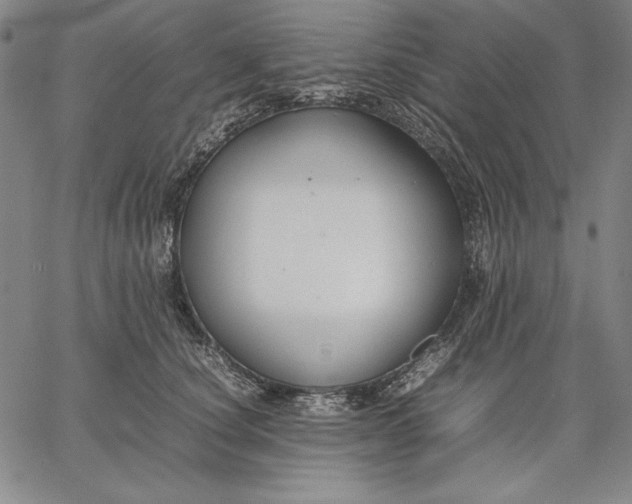 X0000067340660200604131727