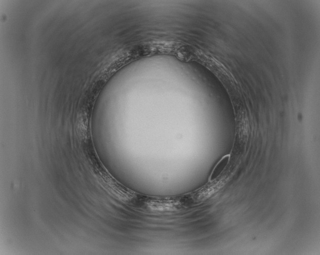 X0000067340661200604131727