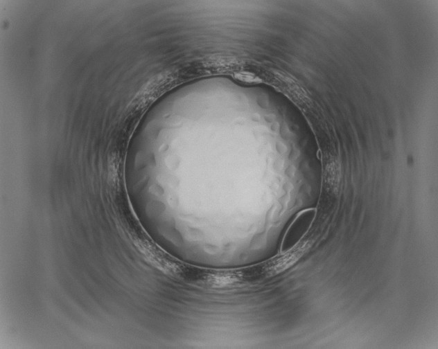 X0000067340662200604131727