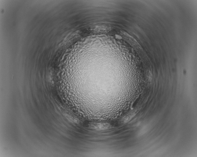 X0000067340663200604131727