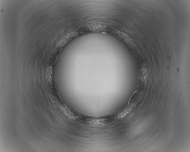 X0000067340664200604131727