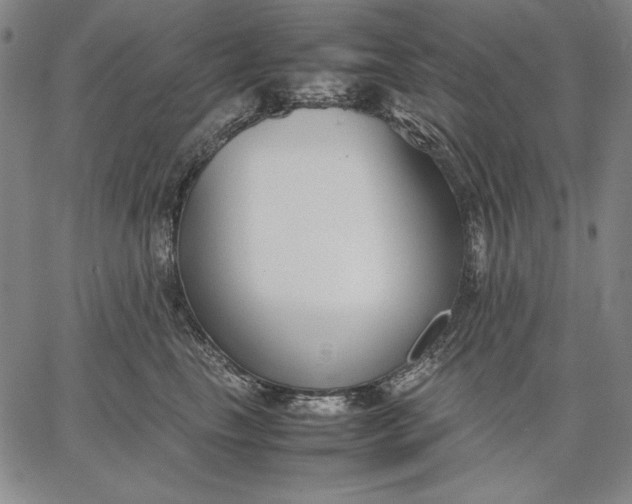 X0000067340665200604131727
