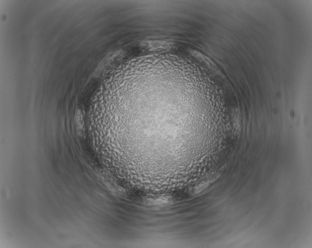 X0000067340667200604131727