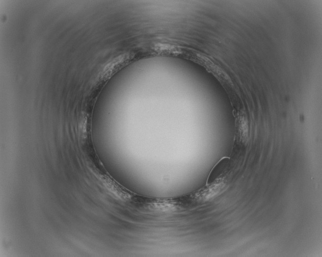 X0000067340668200604131727