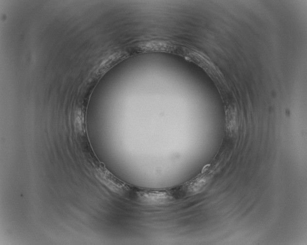 X0000067340669200604131727