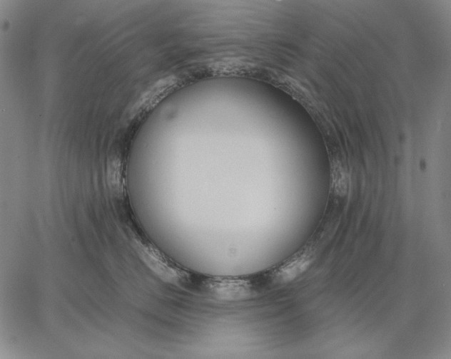 X0000067340670200604131727