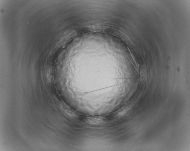 X0000067340671200604131727