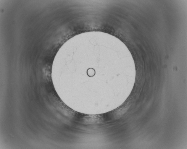 X0000067340672200604131727