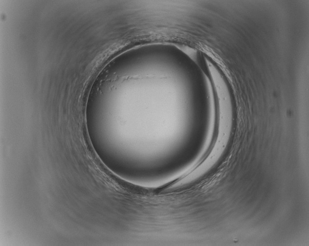 X0000067340673200604131726