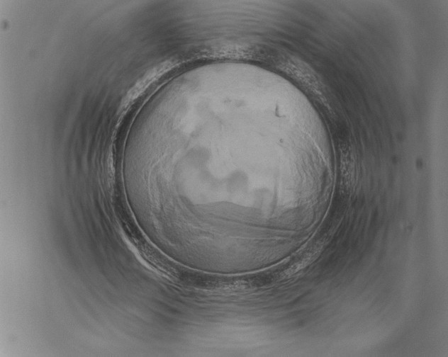 X0000067340674200604131726