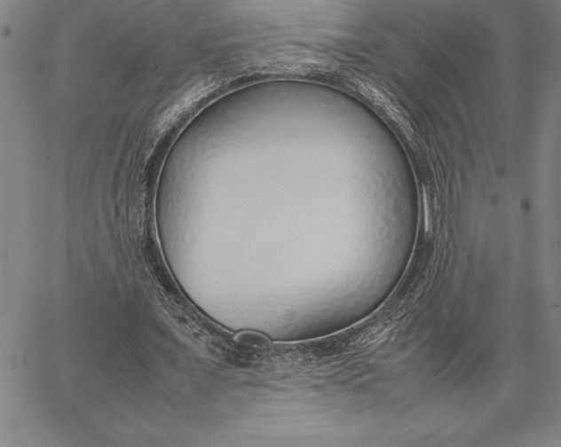 X0000067340675200604131726