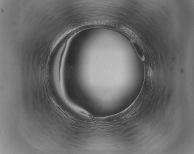 X0000067340676200604131726