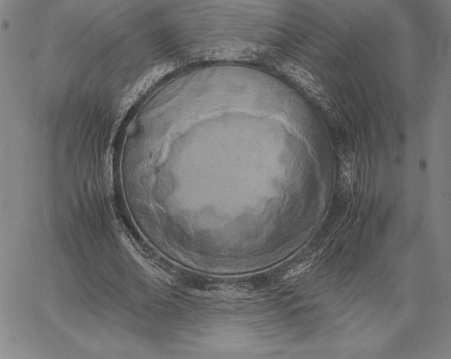 X0000067340678200604131726