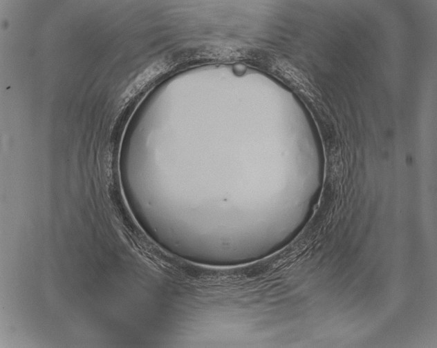 X0000067340679200604131726