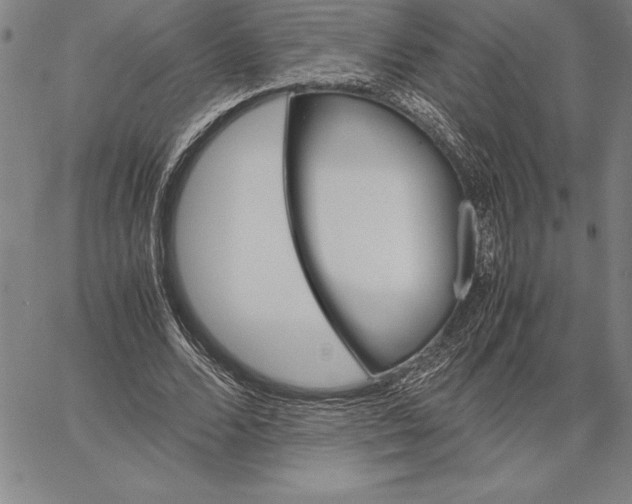 X0000067340680200604131726